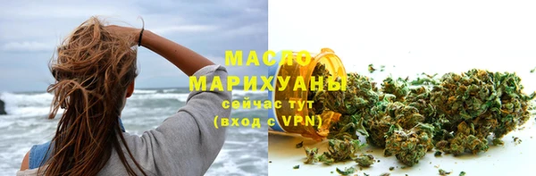 стафф Гусев