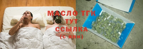 стафф Гусев