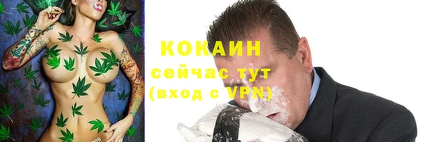 2c-b Горняк