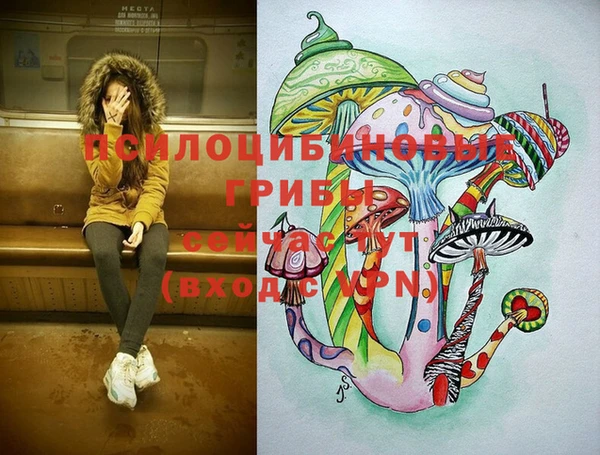 ешки Гусиноозёрск