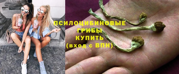 молекула духа Горнозаводск