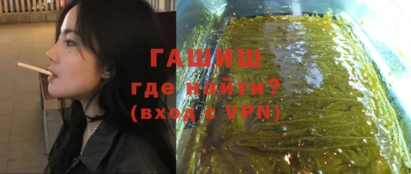 стафф Гусев