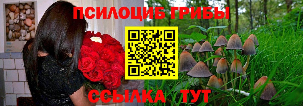 Галлюциногенные грибы мицелий  Вход с VPN  Шебекино 