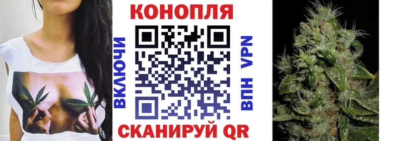 Бошки Шишки семена  Шебекино 